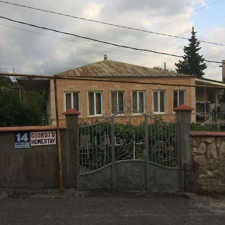 Giorgi'S Homestay Kutaisi Zewnętrze zdjęcie