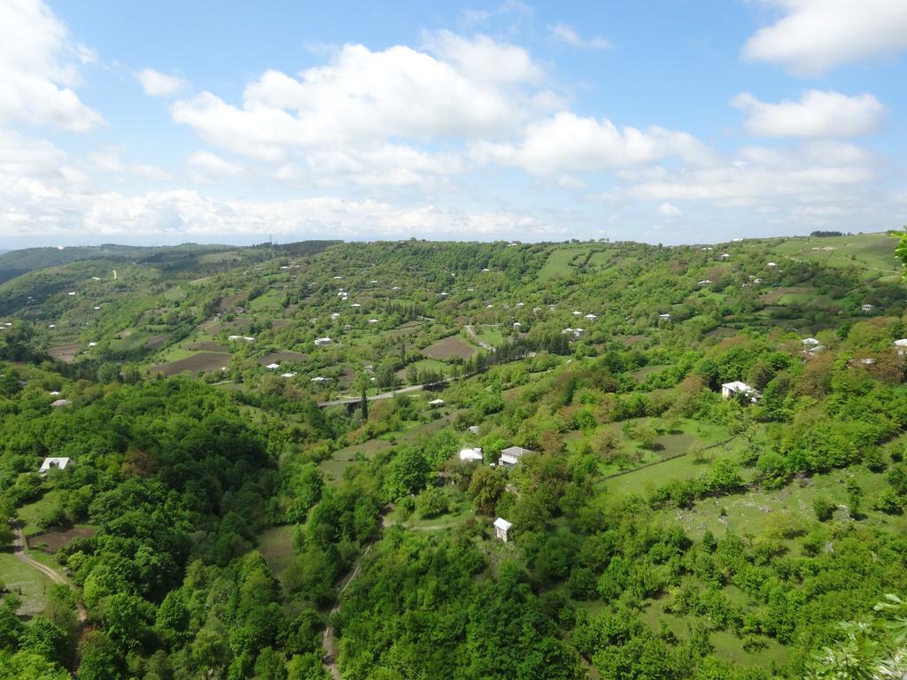 Giorgi'S Homestay Kutaisi Zewnętrze zdjęcie