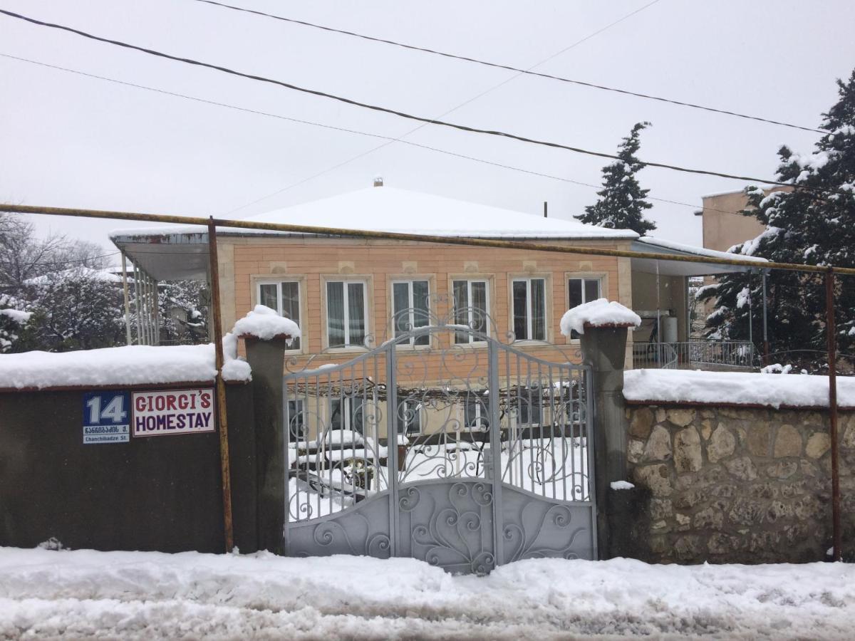 Giorgi'S Homestay Kutaisi Zewnętrze zdjęcie